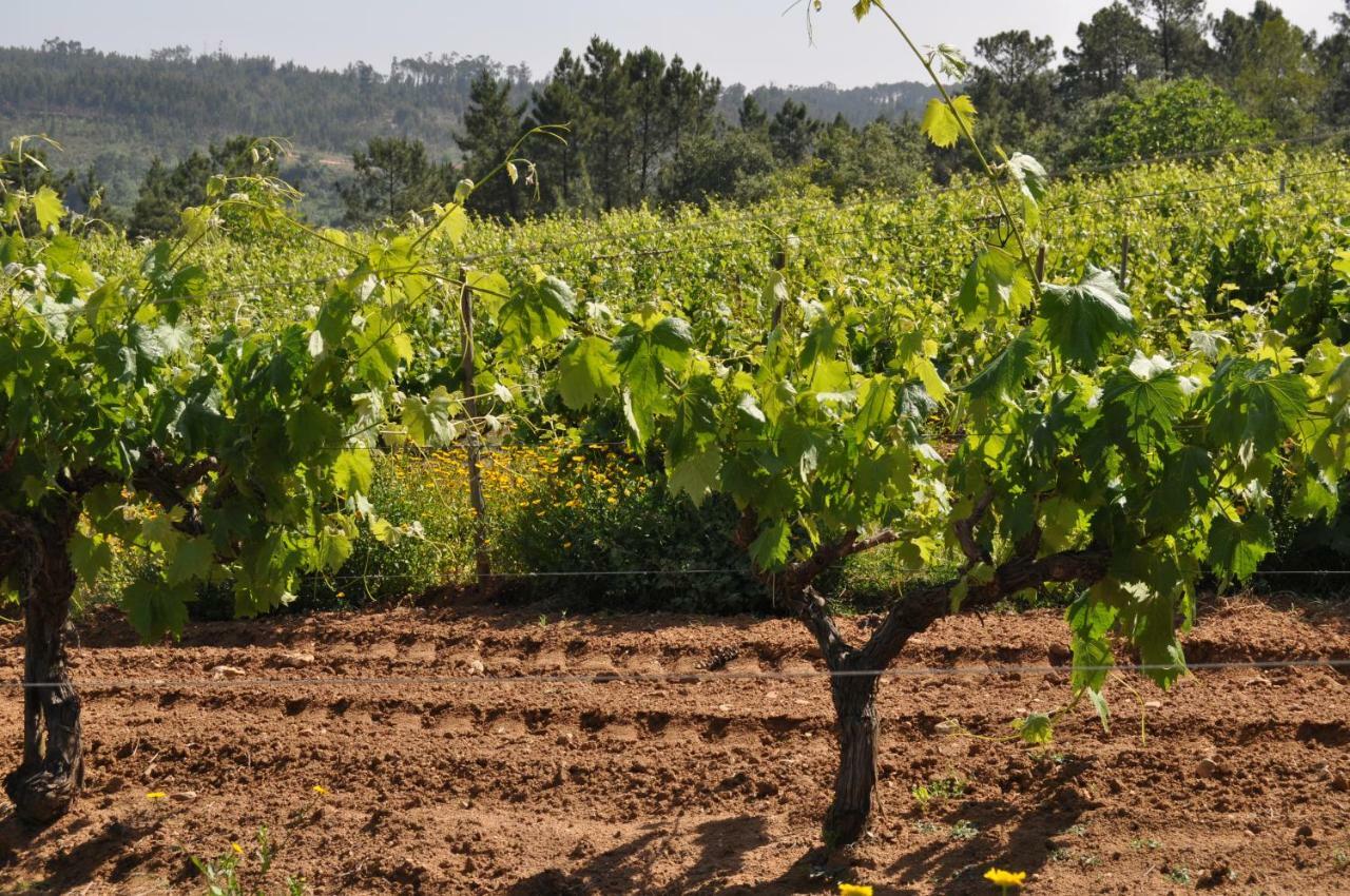 אורם Quinta Da Serrana מראה חיצוני תמונה