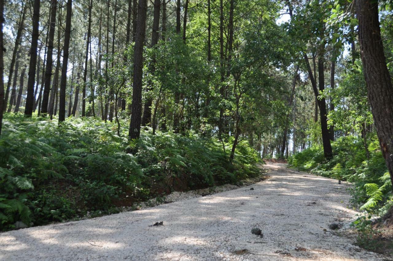 אורם Quinta Da Serrana מראה חיצוני תמונה
